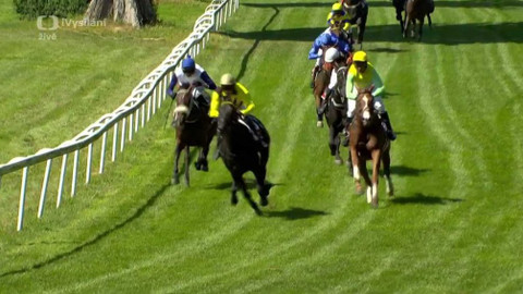 Dostihy - III. kvalifikace na 131. Velkou pardubickou se Slavia pojišťovnou