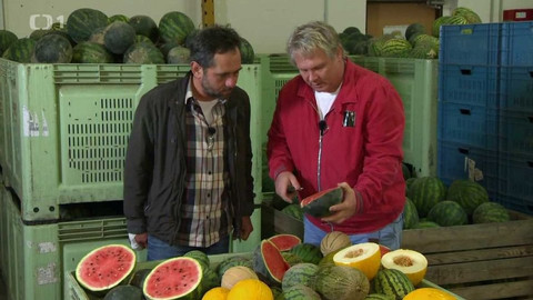 Polopatě - 24. září 2017