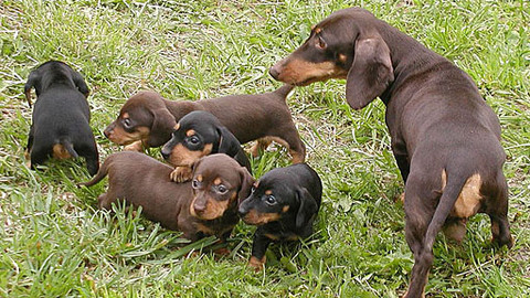 Máte mě! - 12. června 2011