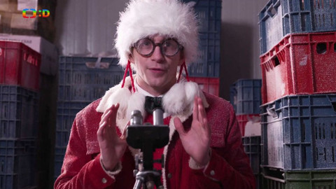 Nuly a jedničky - Spočítaná příroda