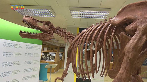 Zprávičky - 20. ledna 2022