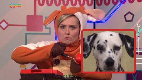 Telefon - 4. listopadu 2016