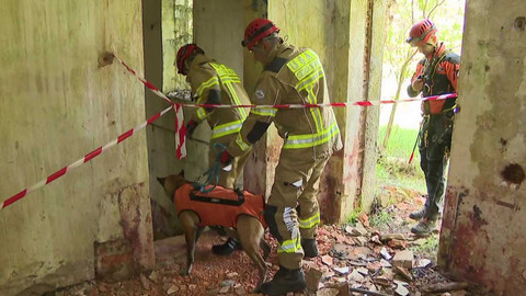 Zóna ČT24 - 17. května