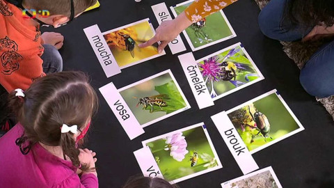 UčíTelka - Člověk a jeho svět