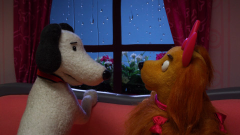 Rusty - 8/52 Hádej co vidím