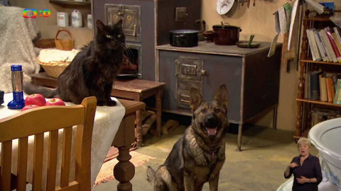 Babiččino čtení - Čertova zeď