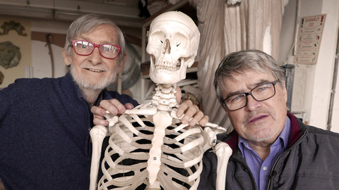 Třistatřicettři - Literární a jiné podivnosti