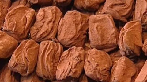 Postřehy odjinud - Belgie očima Milana Fridricha