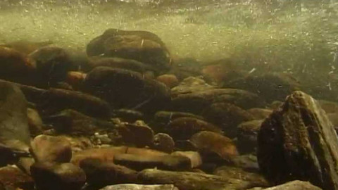 Tajemství ukrytá pod hladinou - Epizoda 1/2