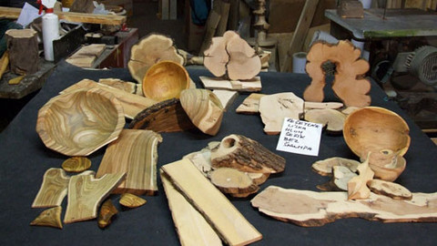 Kus dřeva ze stromu - 25/26 Líska a další málo používané listnáče