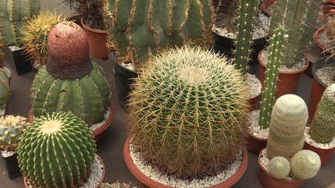 Toulavá kamera - 16. června 2024