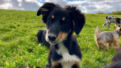 Test iV - Test iV 2025