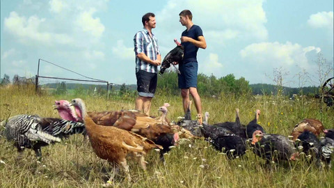 Co naše babičky uměly a na co my jsme zapomněli - Krůta