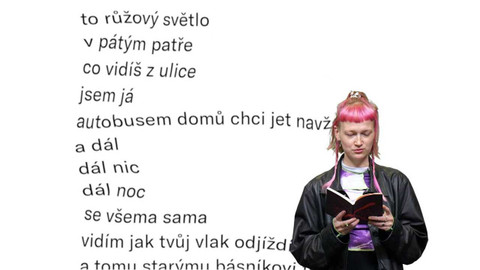 Jedna báseň - Nela Bártová