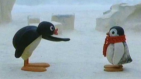 Pingu - Šála