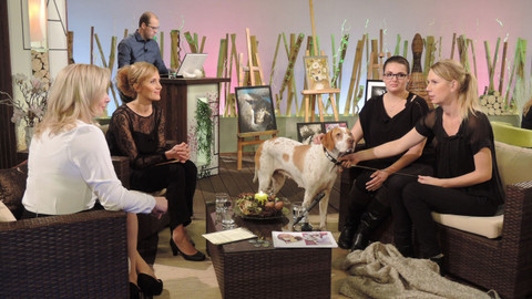 Sama doma - 30. listopadu 2016