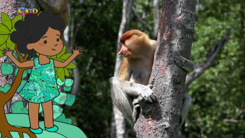 Velká kniha o zvířátkách - Epizoda 40/52