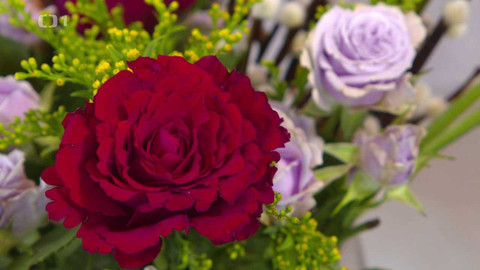 Polopatě - 18. února 2024