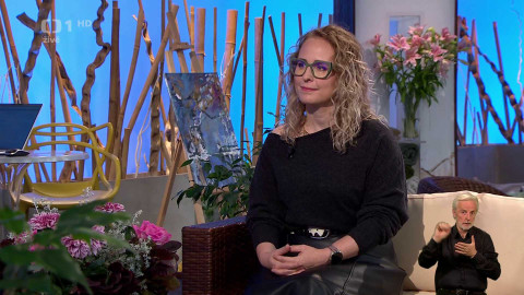 Sama doma - 13. listopadu