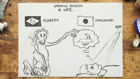 What the Fact? - Co je to spánková paralýza?