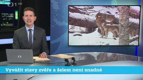 Události v regionech (jih a západ) - 26. ledna 2024