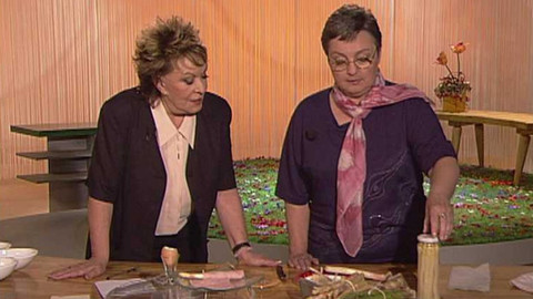 Dobrá rada nad zlato - 4. června 2006