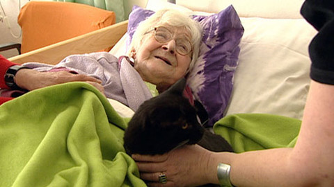 Chcete mě? - 20. března 2011