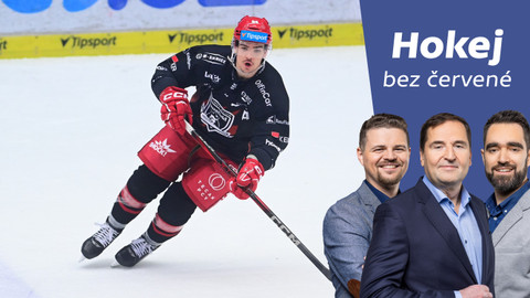 Hokej bez červené - Co znamená pro extraligu absolutní rozvolnění v počtu cizinců v týmu?