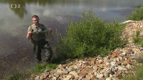 Nedej se! - Když úřad staví přírodu