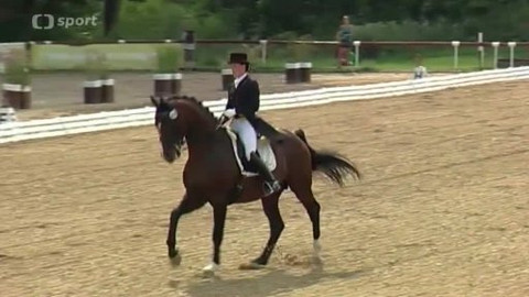 Jezdectví - M ČR v drezuře 2014 Brno