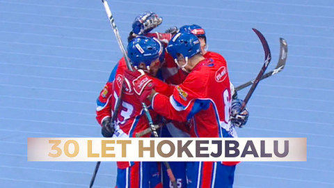 30 let hokejbalu