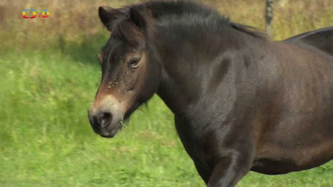 Zprávičky - 20. září 2021