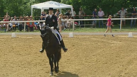 Jezdectví - M ČR v drezuře Karlovy Vary