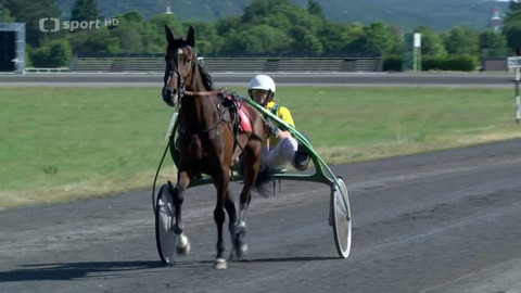 Dostihy - Velká cena primátora hl. m. Prahy