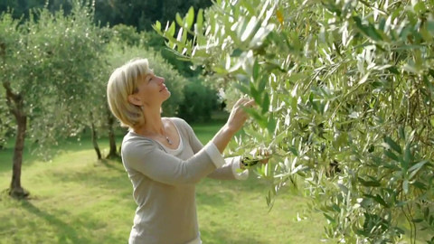 Kouzelné bylinky - Itálie, země oliv, bazalky a Mattioliho