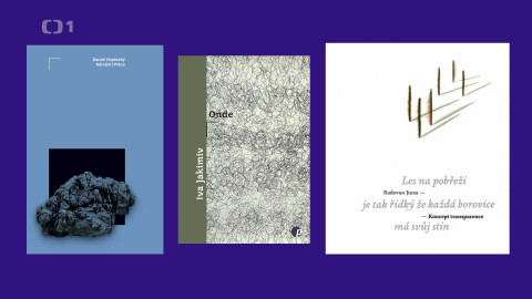 Magnesia Litera - Pale Fire Capital Litera za poezii