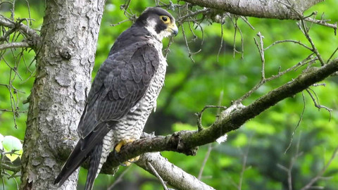 Týden v regionech (Brno) - 20. dubna 2024