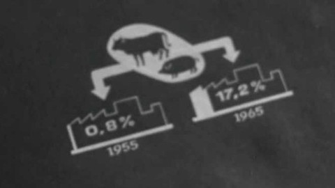 Tváří v tvář - O stavu našeho zemědělství