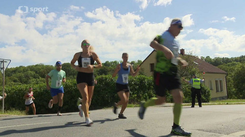 Sport v regionech - Dačického 12