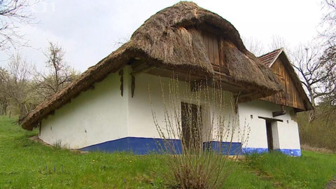 Týden v regionech (Brno) - 7. května 2022