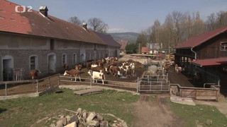 Biodynamické zemědělství