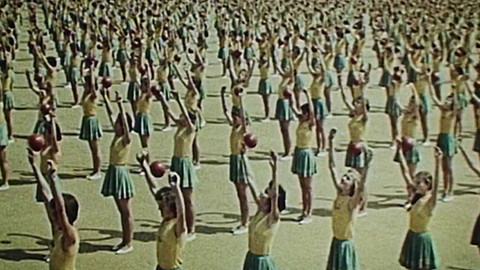 Archiv D - Symfonie psané pohybem