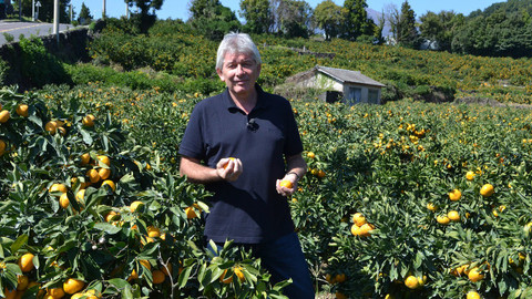 Postřehy odjinud - Korea očima Petra Voldána