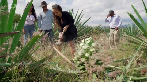 Kamu v Mexiku - 7/8 Oaxaca