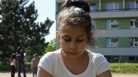 Ptáčata - 8/16 Z hnízda ven