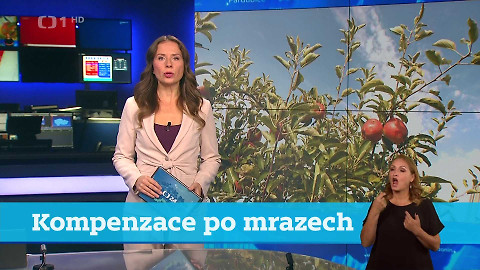 Události v regionech (Brno) - 14. října 2024
