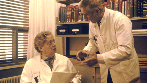 Království - 1/5 Nenebeské zástupy