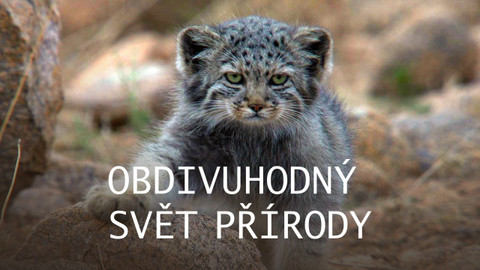 Obdivuhodný svět přírody