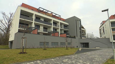 Černé ovce - 11. března 2024