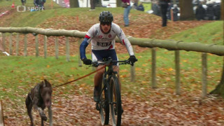 MS v individuálním mushingu 2025